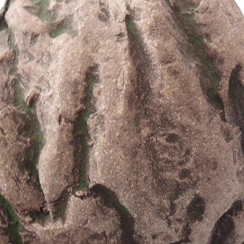 Coquille en céramique 7,5 x 7 x 5 cm , couleur verte