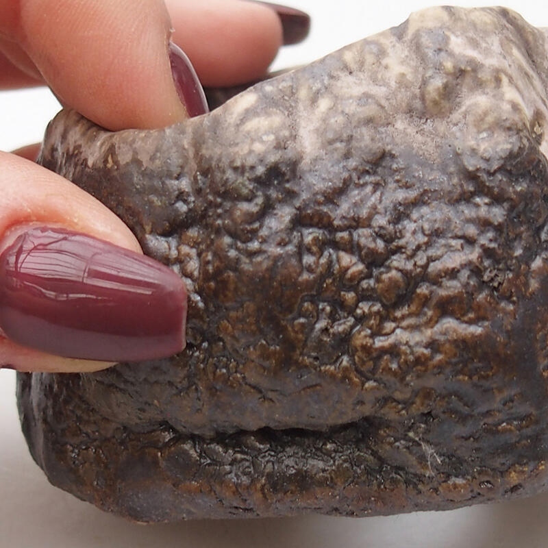 Coquille en céramique 7 x 6,5 x 4 cm , couleur marron