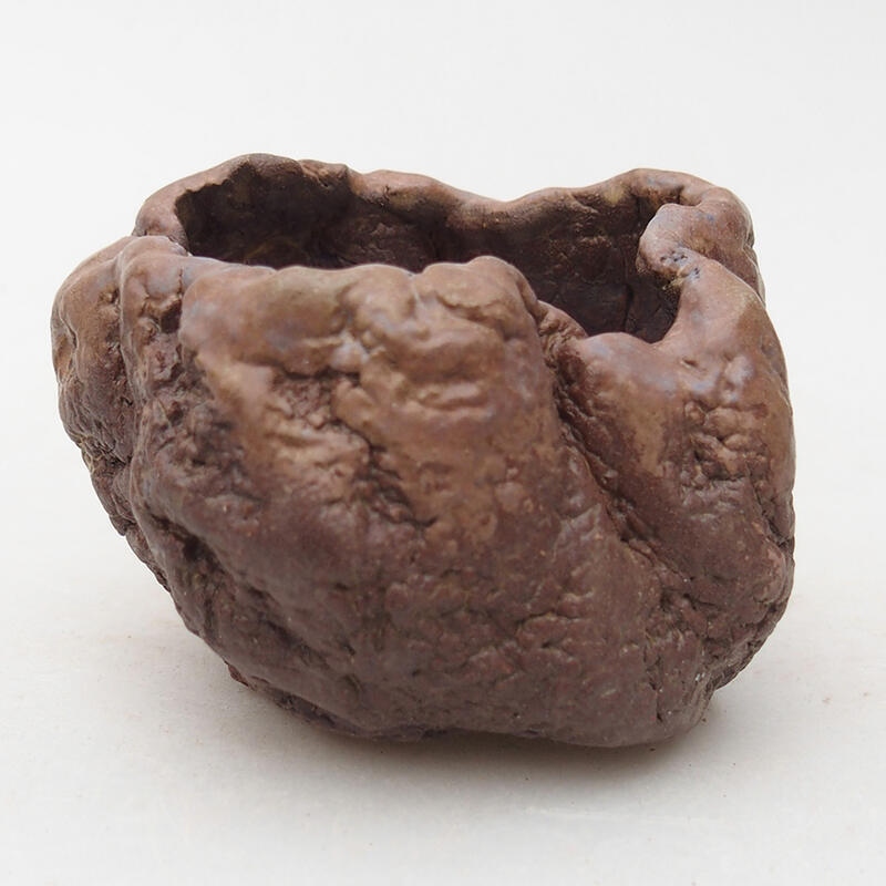 Coquille en céramique 7 x 6,5 x 5,5 cm , couleur marron