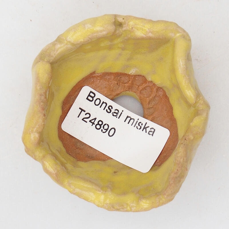 Coquille en céramique 7 x 6 x 3,5 cm , jaune