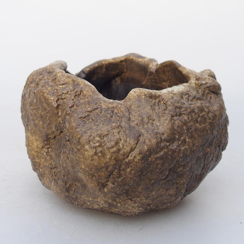 Coquille en céramique 7 x 6 x 5,5 cm , couleur beige