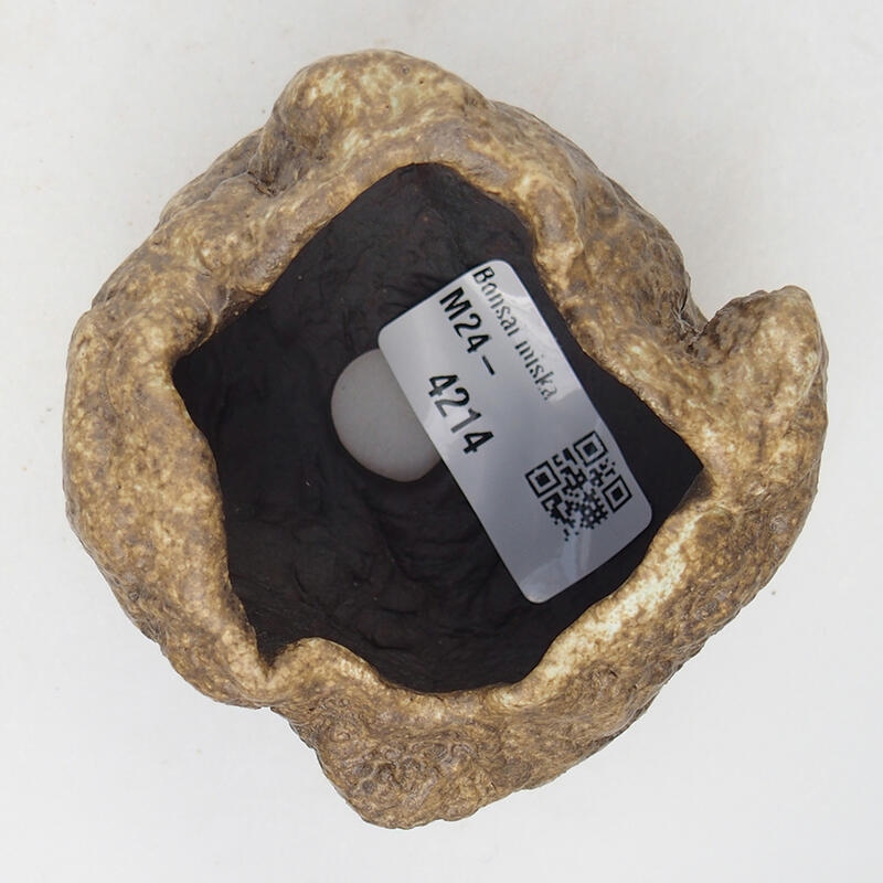 Coquille en céramique 7 x 6 x 5,5 cm , couleur beige