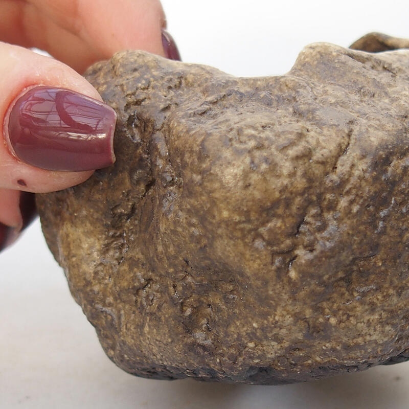 Coquille en céramique 7 x 6 x 5,5 cm , couleur beige