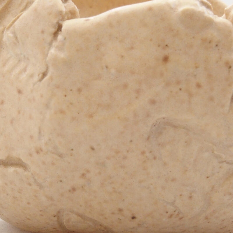 Coquille en céramique 7 x 6 x 6 cm , couleur beige