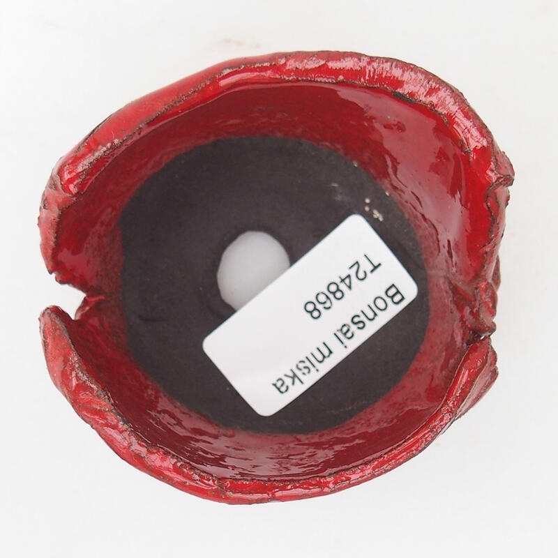 Coquille en céramique 7 x 7 x 4,5 cm , couleur rouge