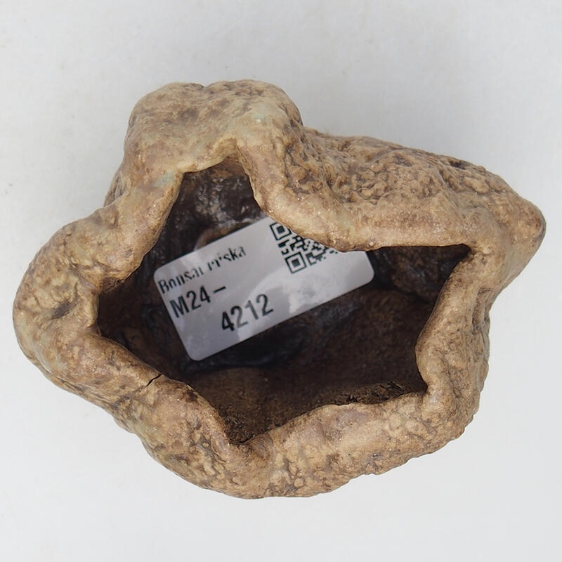 Coquille en céramique 8,5 x 6,5 x 6 cm , couleur beige