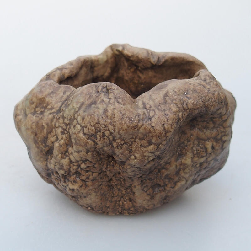 Coquille en céramique 8,5 x 6,5 x 6 cm , couleur beige