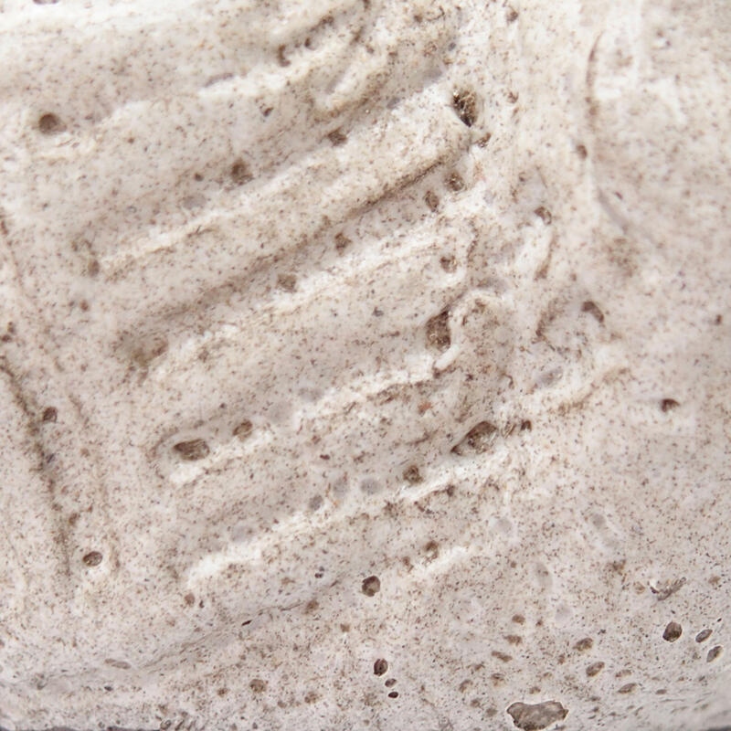 Coquille en céramique 8,5 x 7 x 5 cm , couleur grise