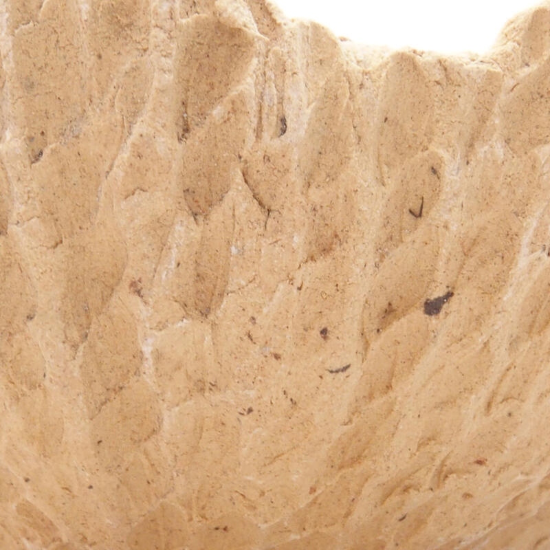 Coquille en céramique 8,5 x 8,5 x 4,5 cm , couleur beige