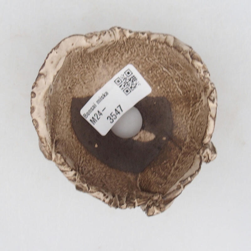 Coquille en céramique 8,5 x 8,5 x 6 cm , couleur beige