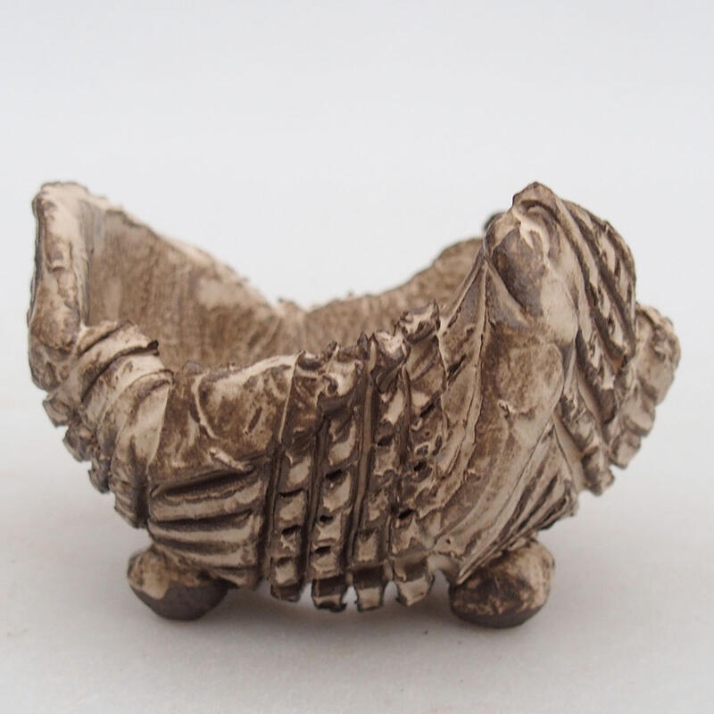 Coquille en céramique 8,5 x 8,5 x 6 cm , couleur beige