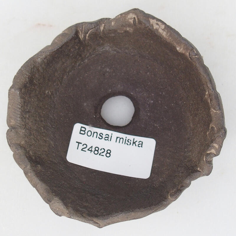 Coquille en céramique 8,5 x 8 x 4 cm , couleur marron