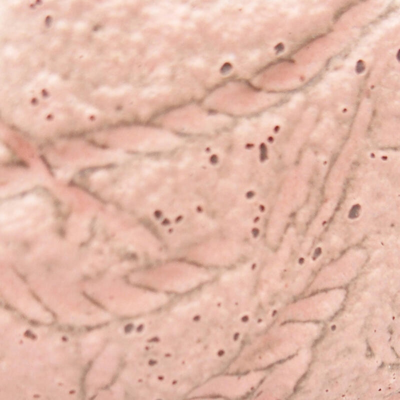 Coquille en céramique 8,5 x 8 x 4 cm , couleur rose