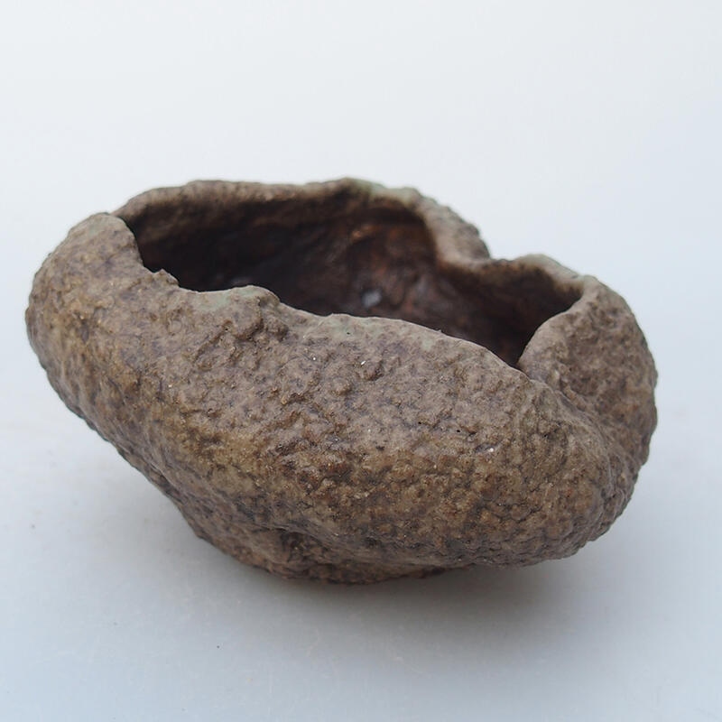 Coquille en céramique 8,5 x 8 x 5 cm , couleur beige