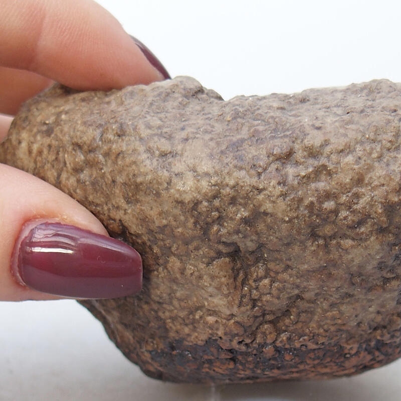 Coquille en céramique 8,5 x 8 x 5 cm , couleur beige