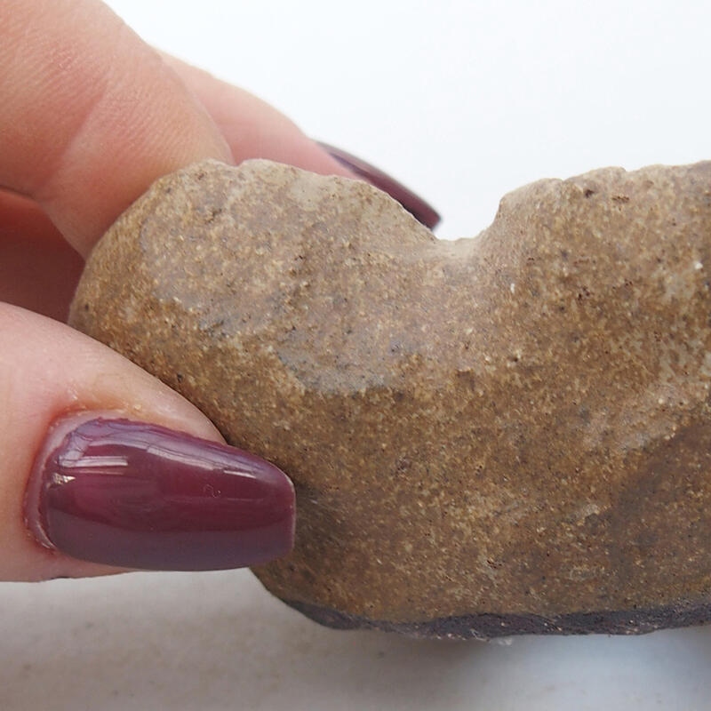 Coquille en céramique 8 x 6 x 4,5 cm , couleur beige