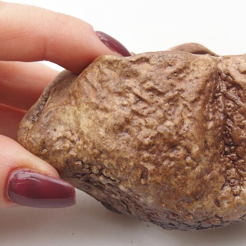 Coquille en céramique 8 x 6 x 5 cm , couleur marron