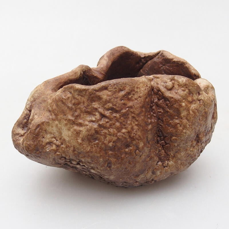 Coquille en céramique 8 x 6 x 5 cm , couleur marron