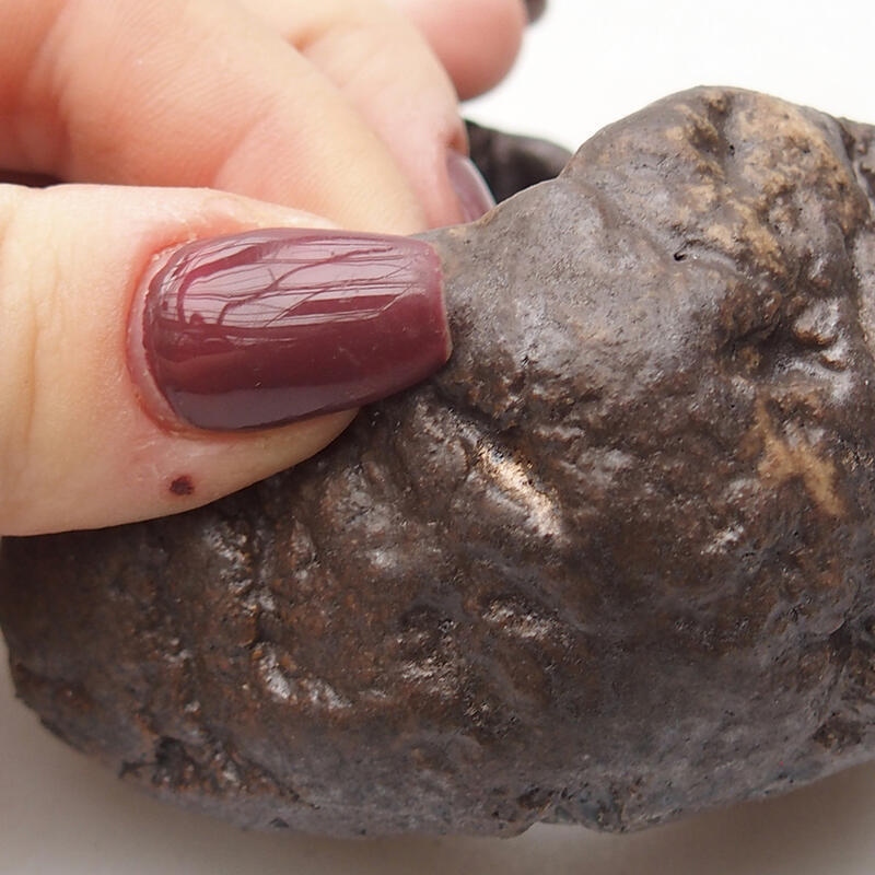 Coquille en céramique 8 x 7,5 x 4,5 cm , couleur marron