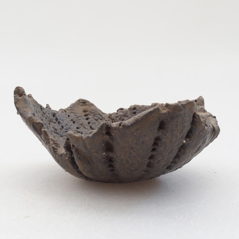 Coquille en céramique 8 x 7,5 x 4 cm , couleur marron