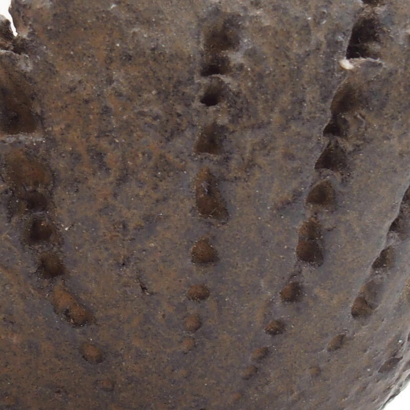 Coquille en céramique 8 x 7,5 x 4 cm , couleur marron