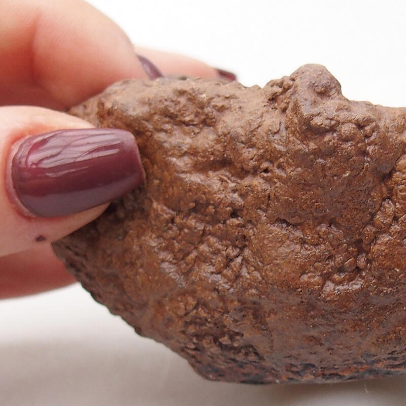 Coquille en céramique 8 x 7,5 x 5,5 cm , couleur marron