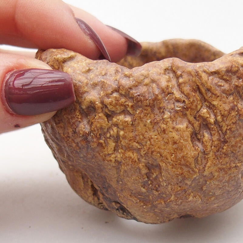 Coquille en céramique 8 x 7,5 x 5,5 cm , couleur marron