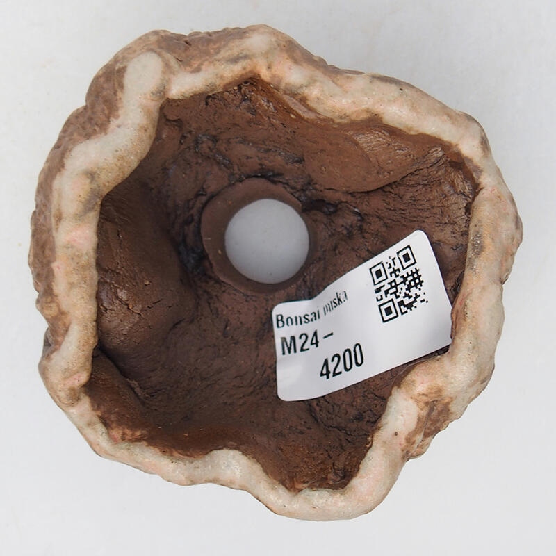 Coquille en céramique 8 x 8 x 5 cm , couleur beige