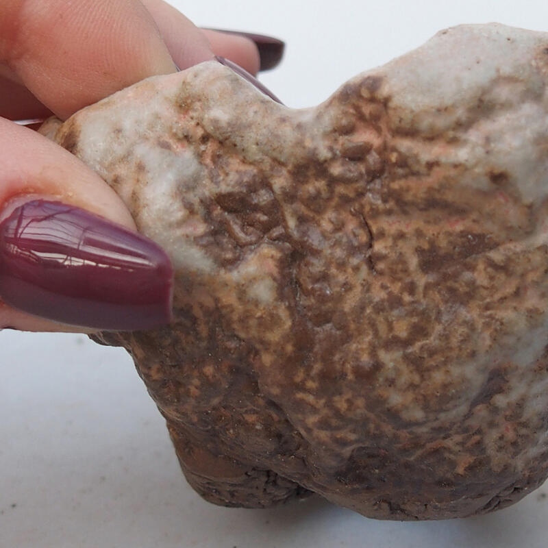 Coquille en céramique 8 x 8 x 5 cm , couleur beige