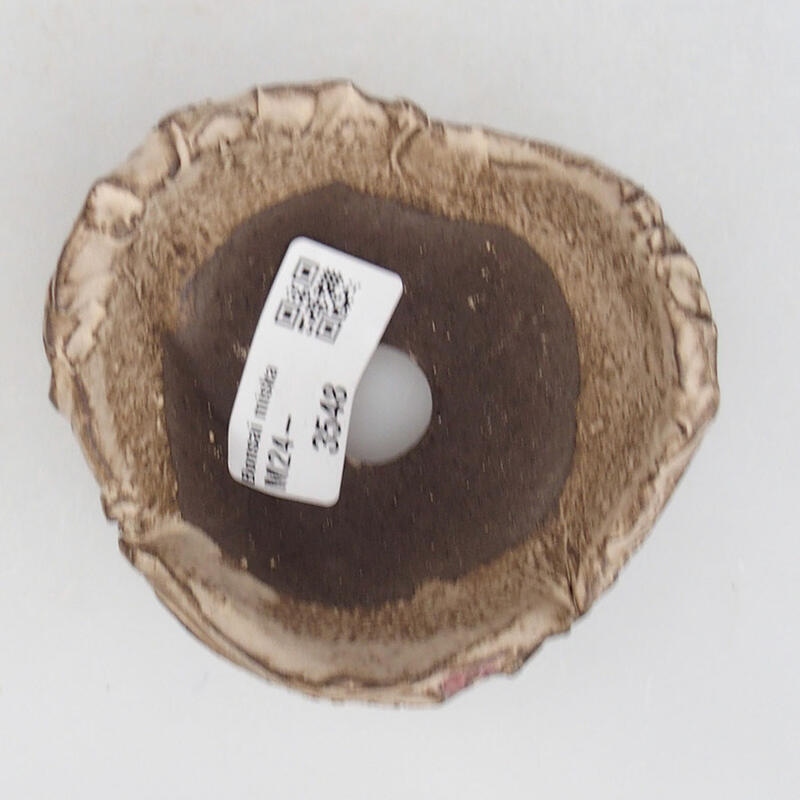 Coquille en céramique 9 x 8,5 x 5,5 cm , couleur beige