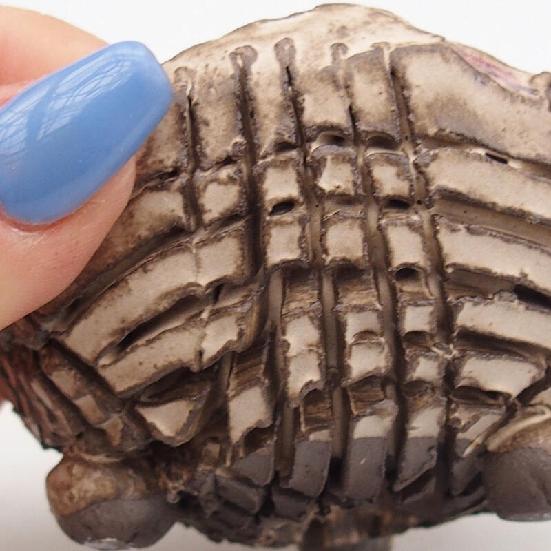 Coquille en céramique 9 x 8,5 x 5,5 cm , couleur beige