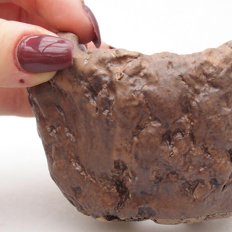 Coquille en céramique 9 x 8,5 x 6 cm , couleur marron