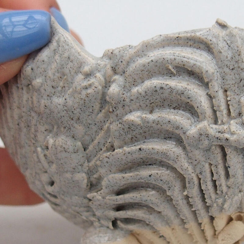 Coquille en céramique 9 x 8,5 x 6 cm , couleur grise