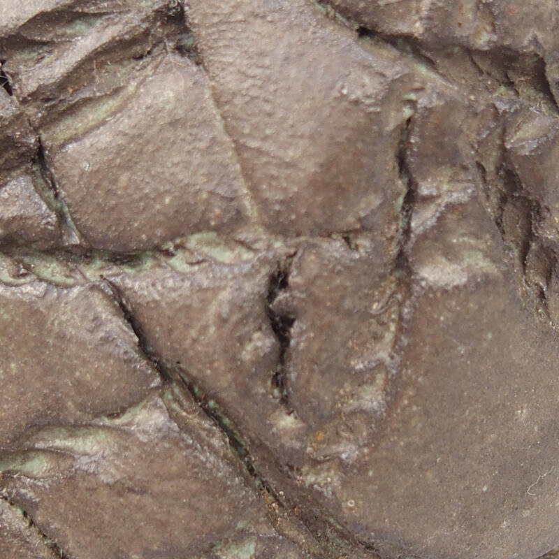 Coquille en céramique 9 x 8 x 5,5 cm , couleur marron