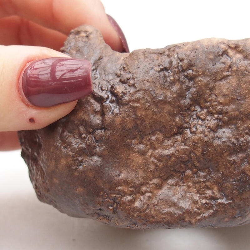 Coquille en céramique 9 x 8 x 5 cm , couleur marron