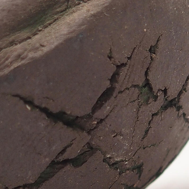 Coquille en céramique 9 x 9 x 4,5 cm , couleur verte