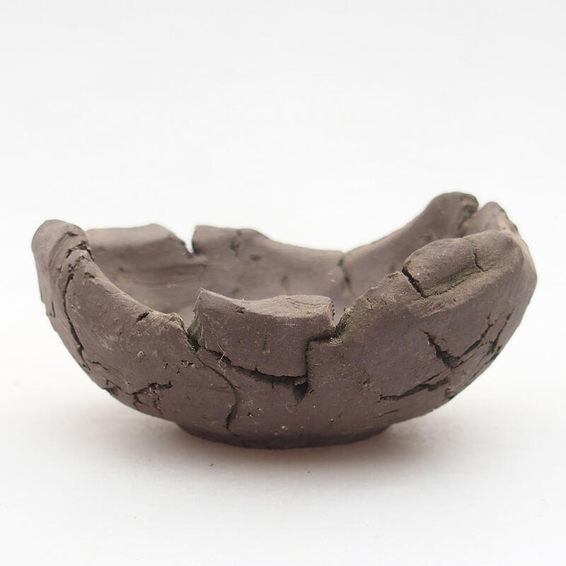 Coquille en céramique 9 x 9 x 4,5 cm , couleur verte