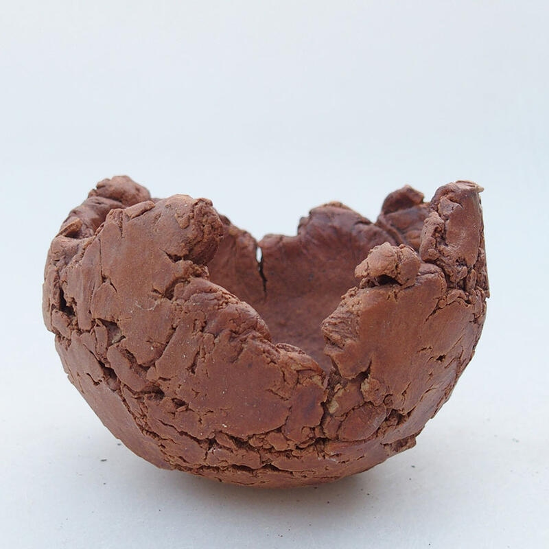 Coquille en céramique 9 x 9 x 6,5 cm , couleur marron