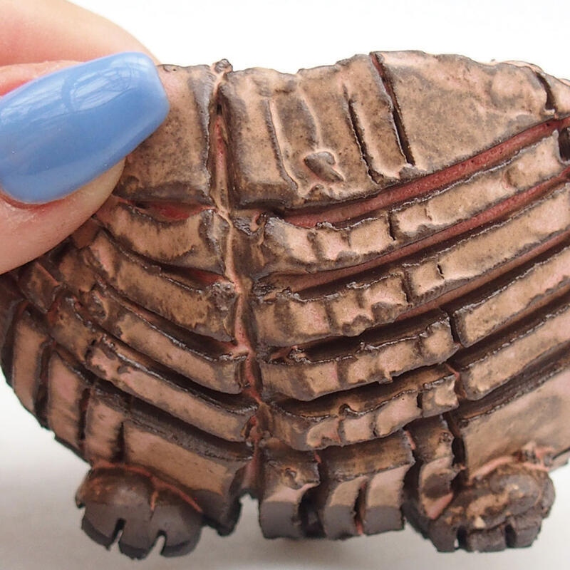 Coquille en céramique 9 x 9 x 6 cm , couleur rose