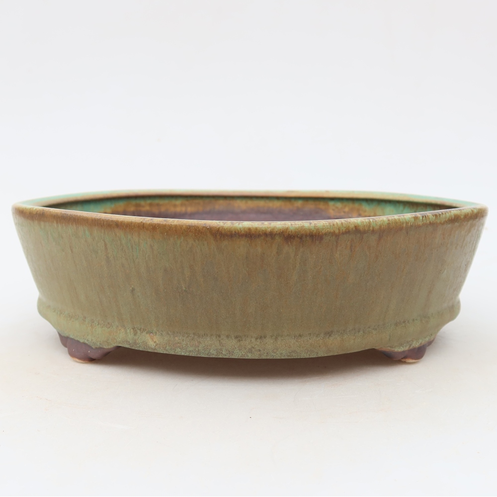 Bol à bonsaï en céramique 21,5 x 21,5 x 6 cm, vert