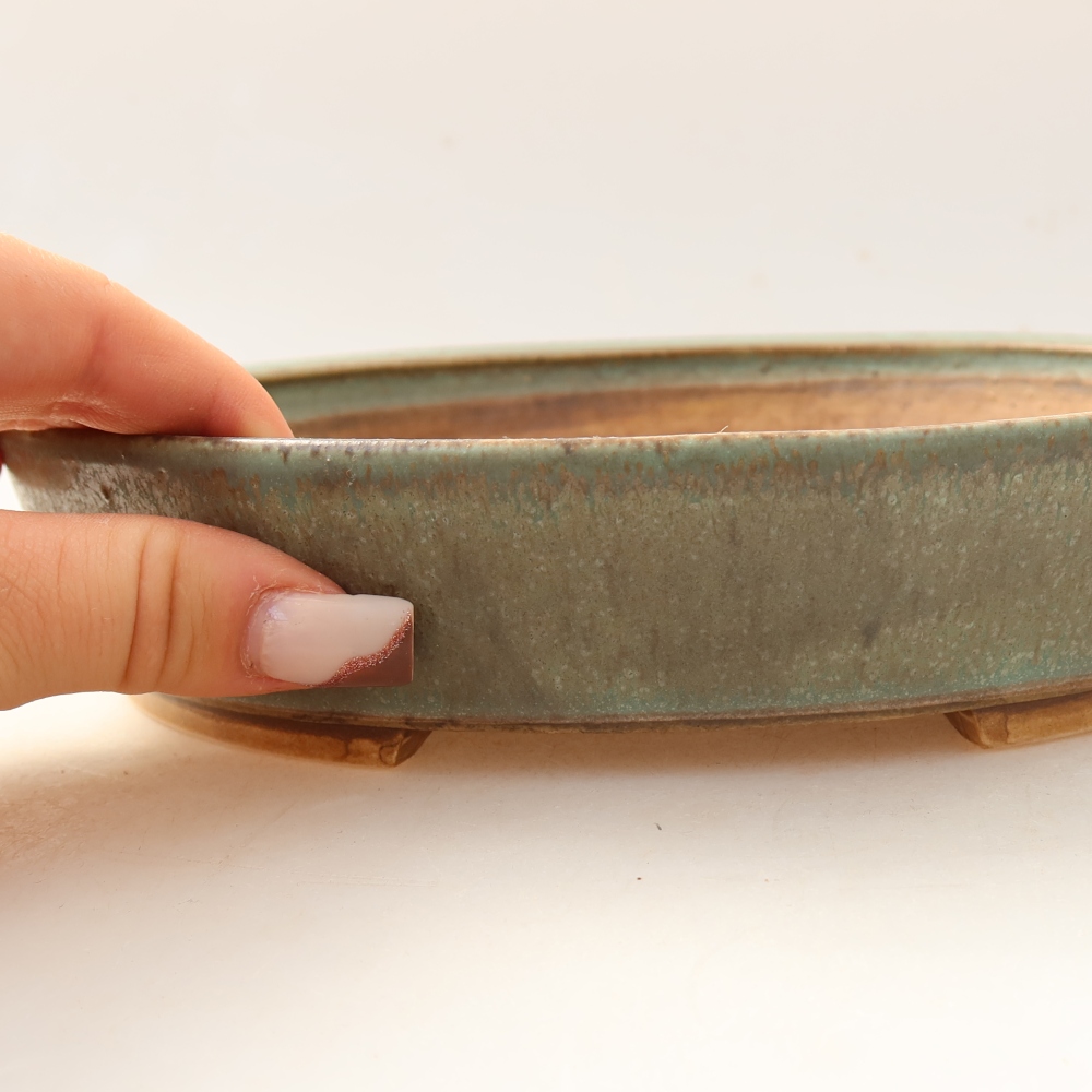 Bol à bonsaï en céramique 21 x 19 x 4,5 cm, vert