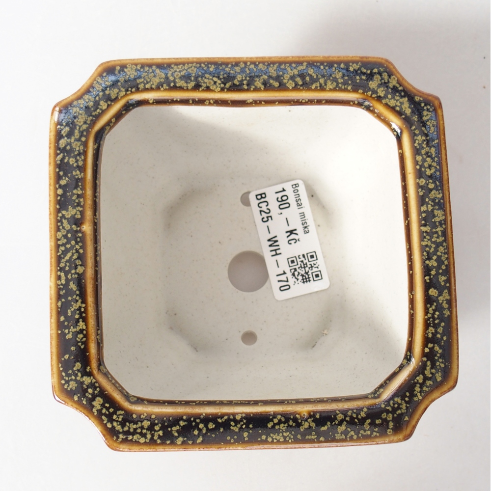 Bol à bonsaï en céramique 11 x 11 x 7 cm, jaune