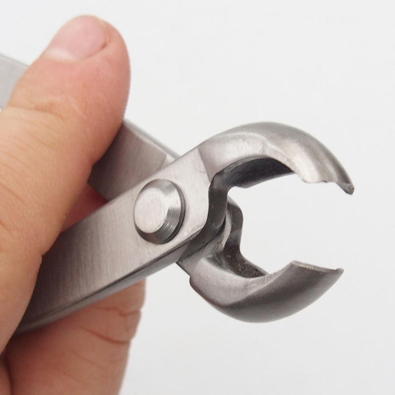 Pince à bec concave 180 mm - Acier inoxydable