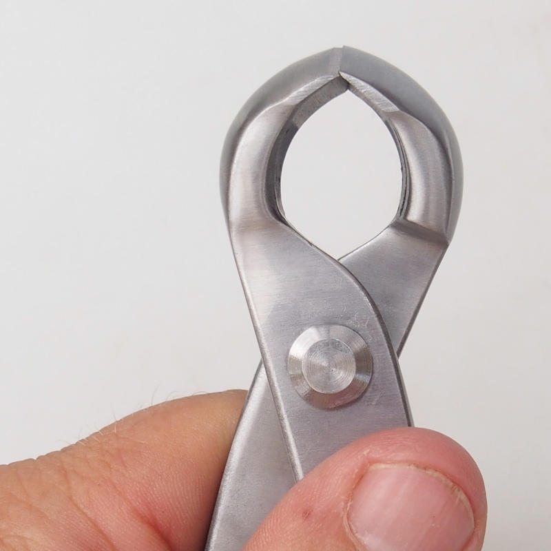 Pince à bec concave 210 mm - Acier inoxydable