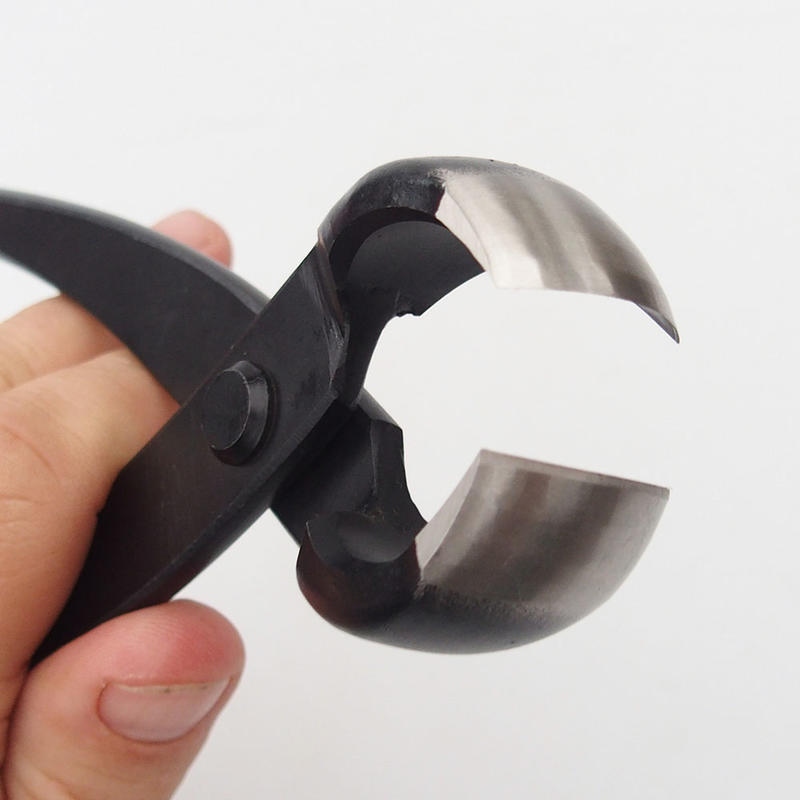 Pince à bec concave 280 mm - carbone