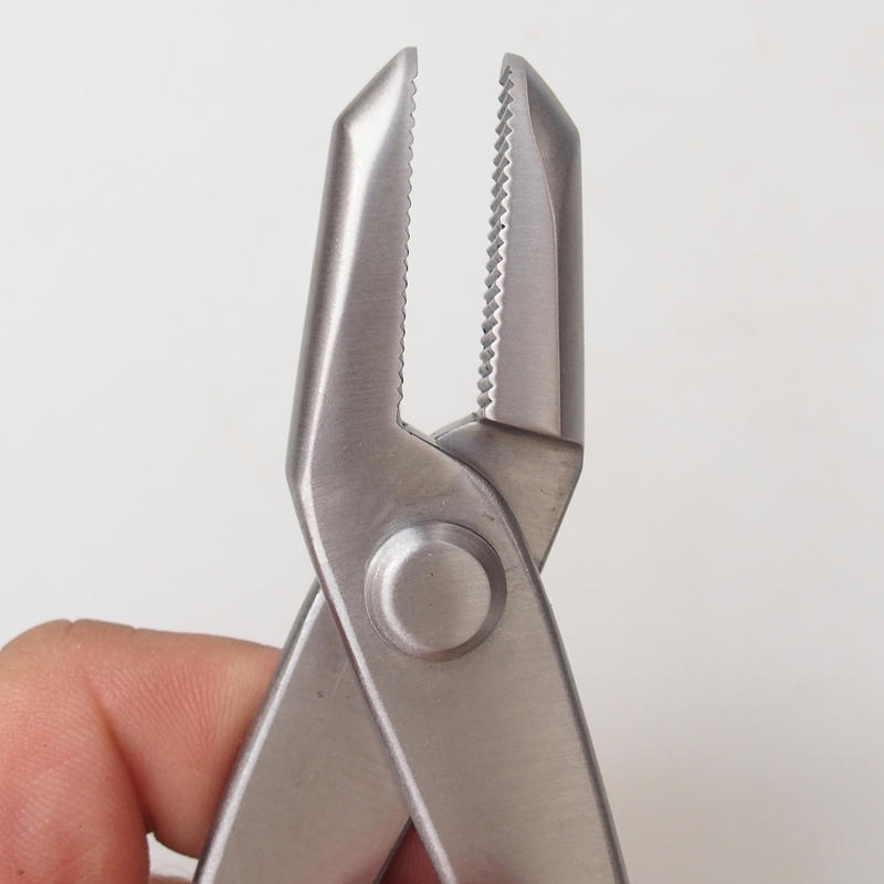 Pince JIN 210 mm - Acier inoxydable