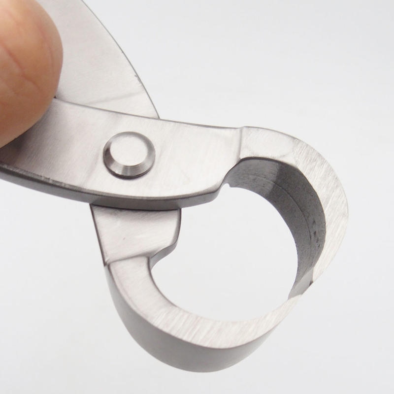 Pince à racine 27 cm - acier inoxydable