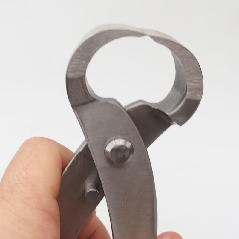 Pince à racine 27 cm - acier inoxydable