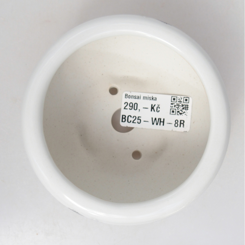 Bol à bonsaï en céramique 10 x 10 x 5 cm, couleur blanc