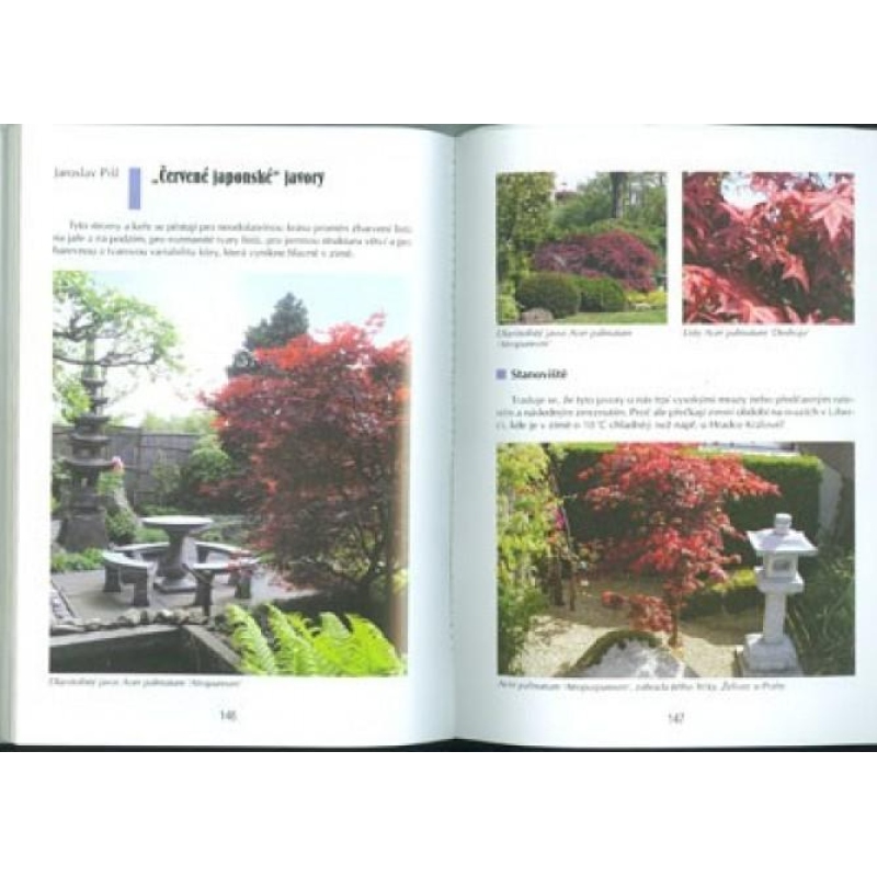 Le livre des bonsaïs n'est pas seulement dans la maison du panneau